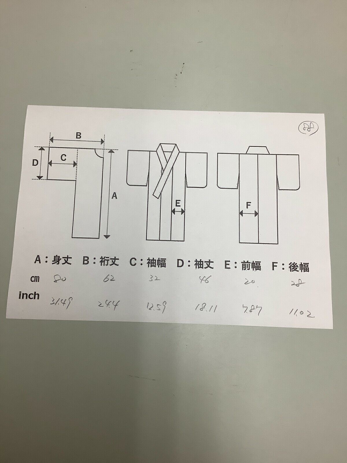 34202