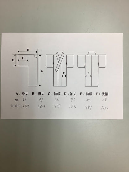 41256