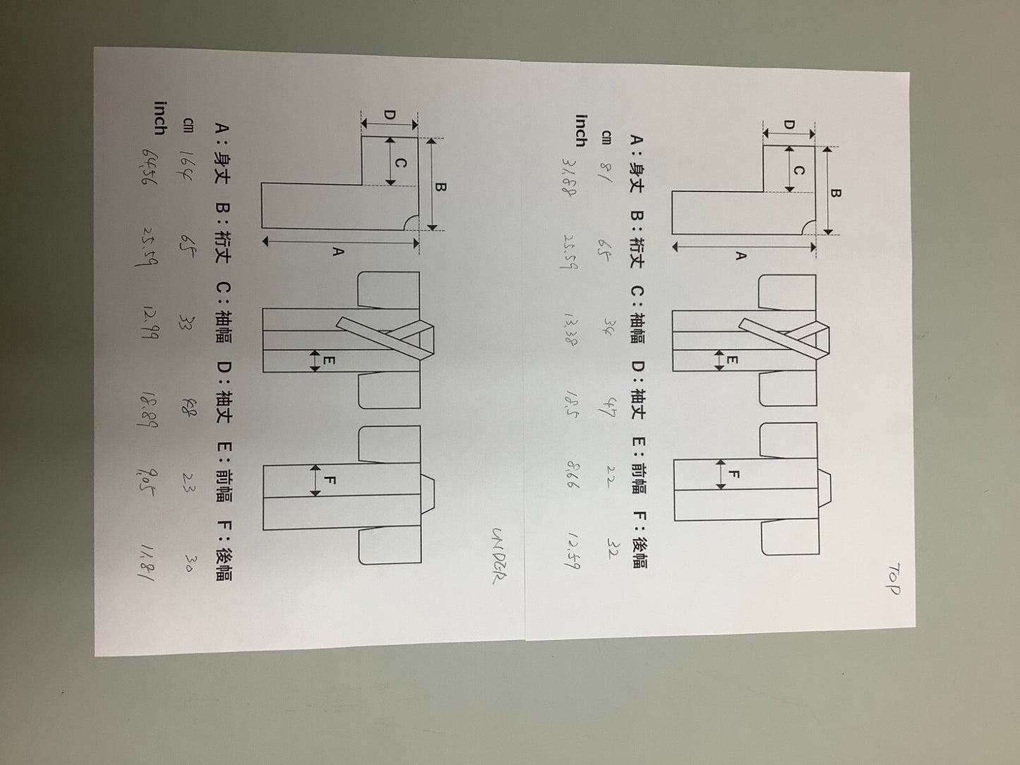 45560