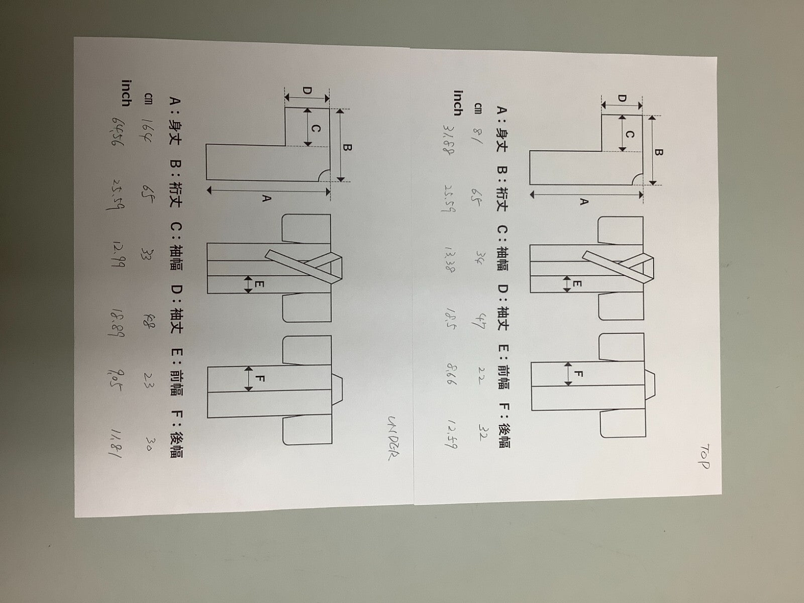 45560