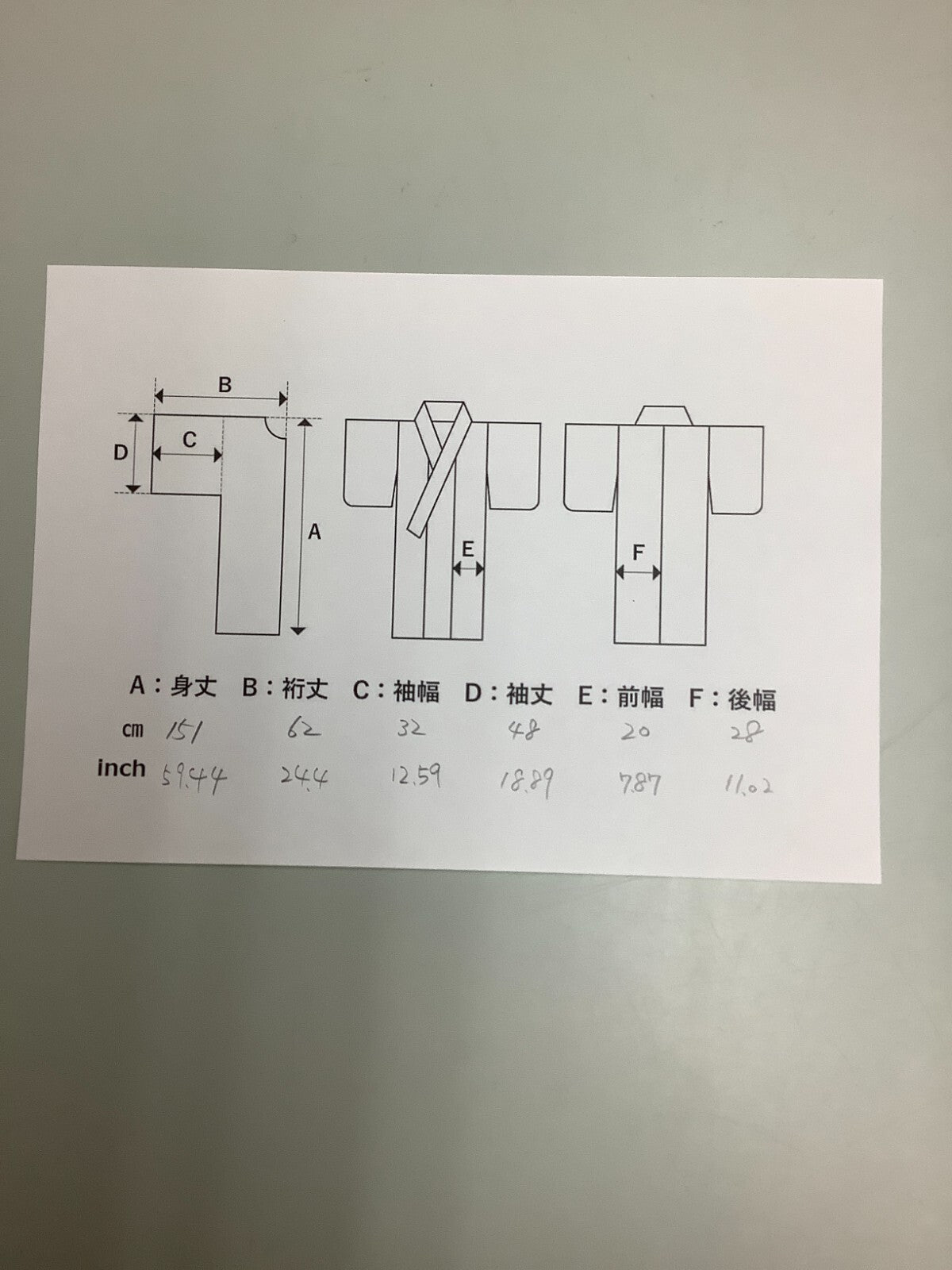 41206
