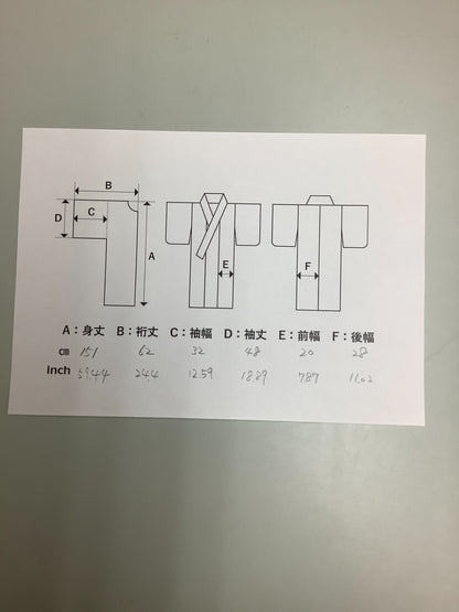 41206